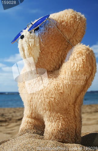 Image of Beach Teddy