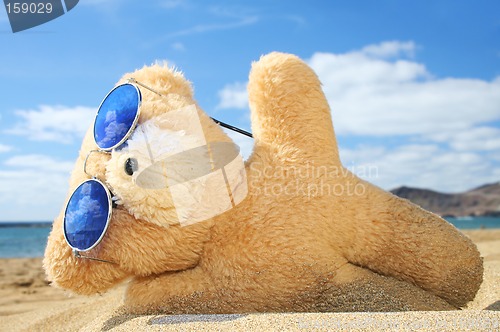 Image of Holiday Teddy