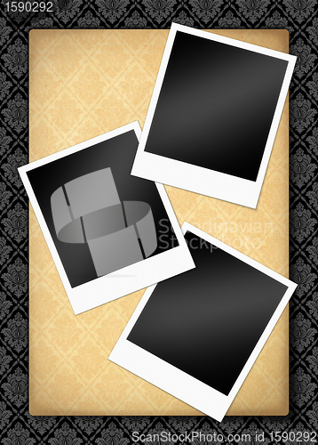 Image of palaroid blank