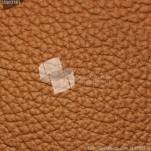 Image of piece of brown leather 2