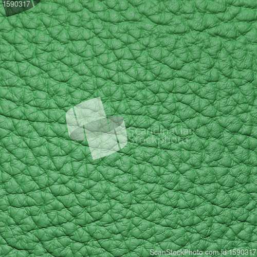 Image of piece of green leather 2