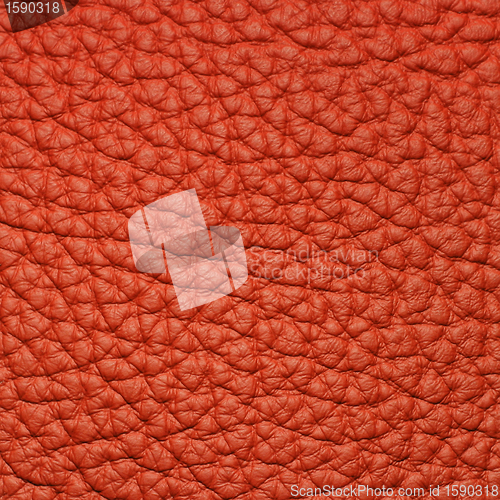 Image of piece of red leather 2