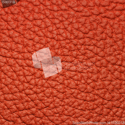 Image of piece of red leather 2