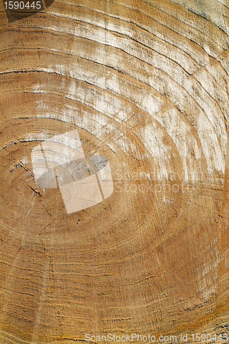 Image of wooden texture