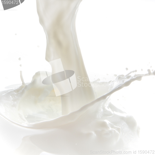 Image of milk splash
