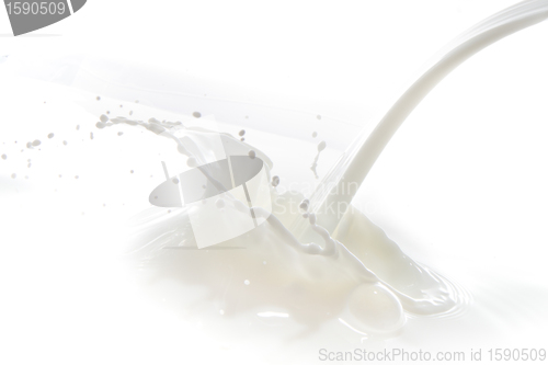 Image of milk splash