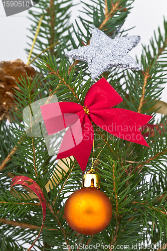 Image of Christmas tree decorated