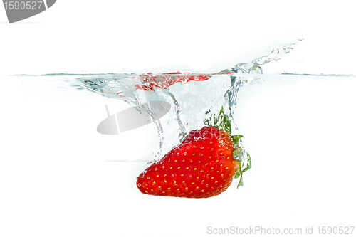 Image of strawberry in the water