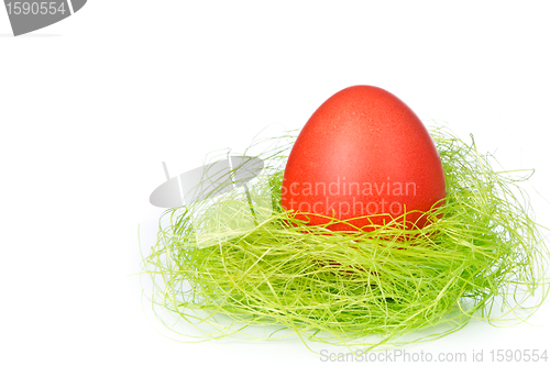Image of easter egg in nest