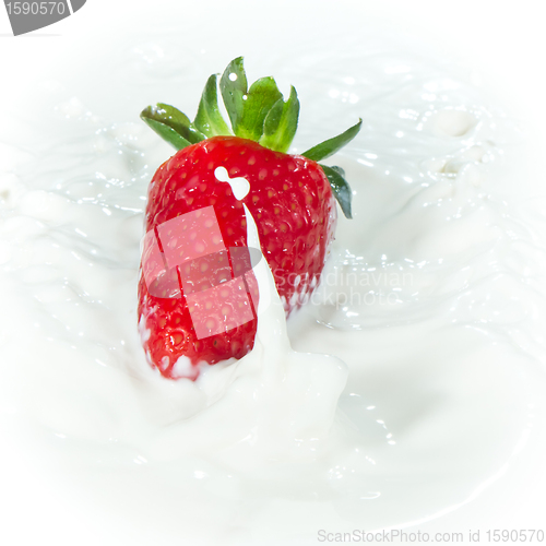 Image of strawberry splashing into milk