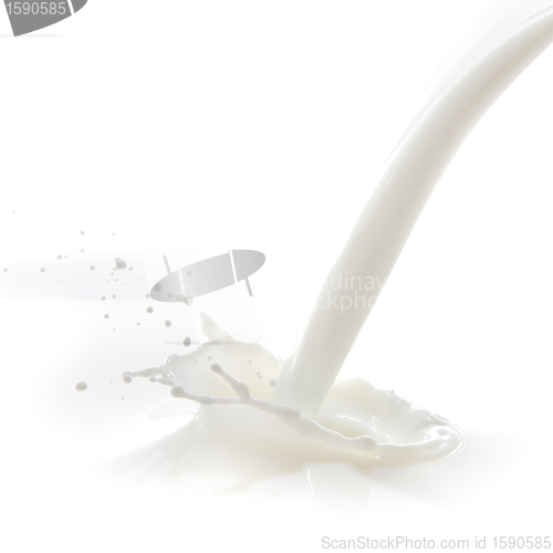 Image of milk splash