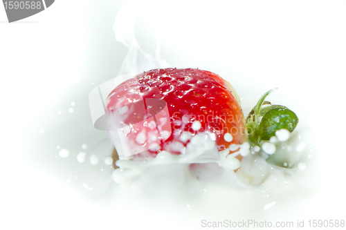 Image of strawberry splashing into milk