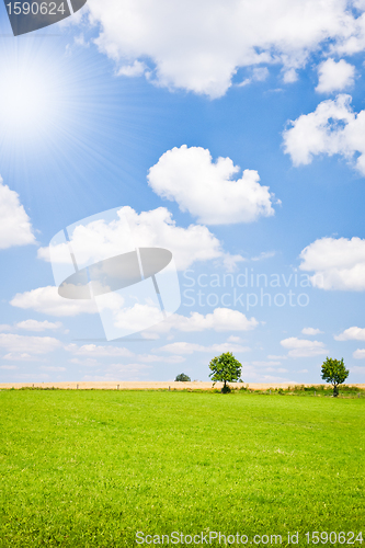 Image of agriculture landscape