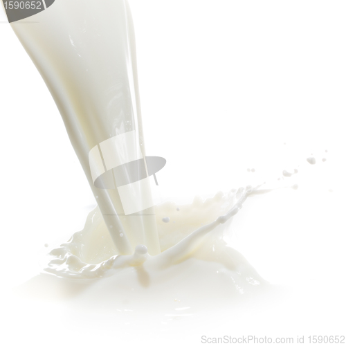 Image of milk splash