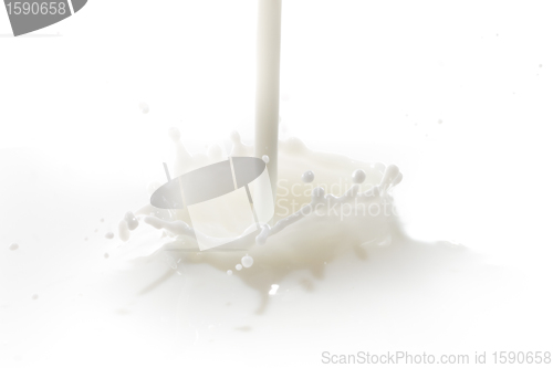 Image of milk splash