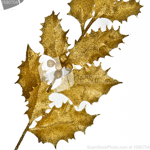 Image of Christmas holly