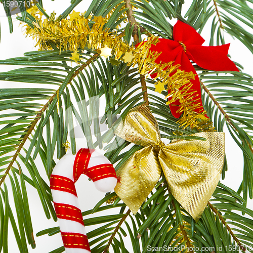 Image of Christmas branch 