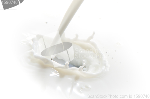 Image of milk splash