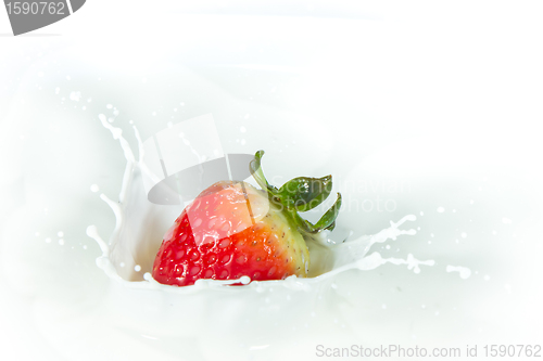 Image of strawberry splashing into milk