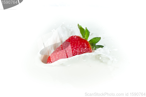 Image of strawberry splashing into milk