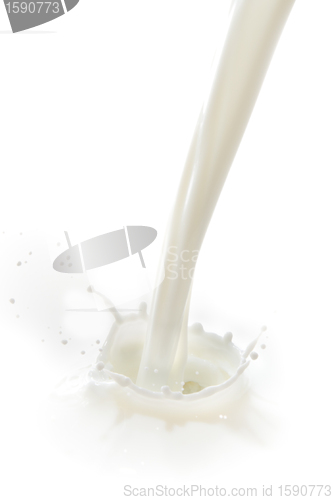 Image of milk splash