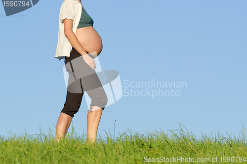 Image of pregnant woman on meadow