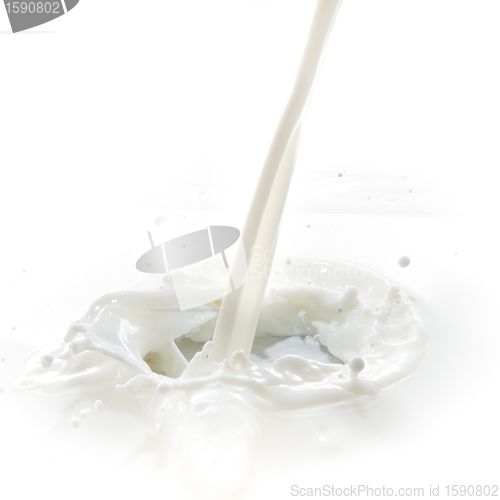 Image of milk splash