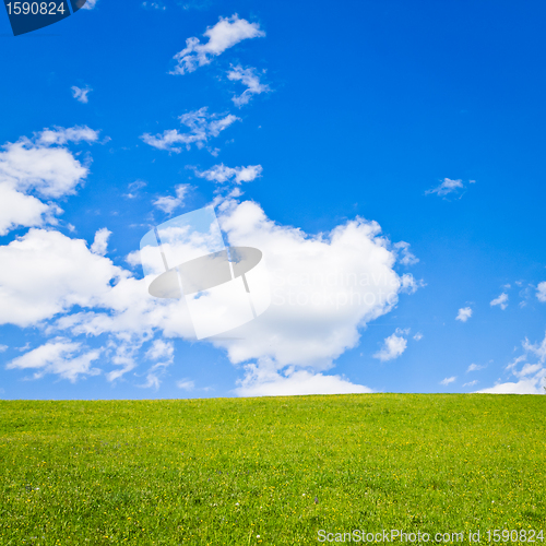 Image of green field