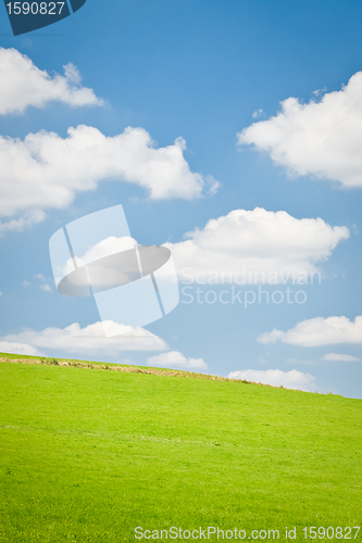 Image of agriculture landscape