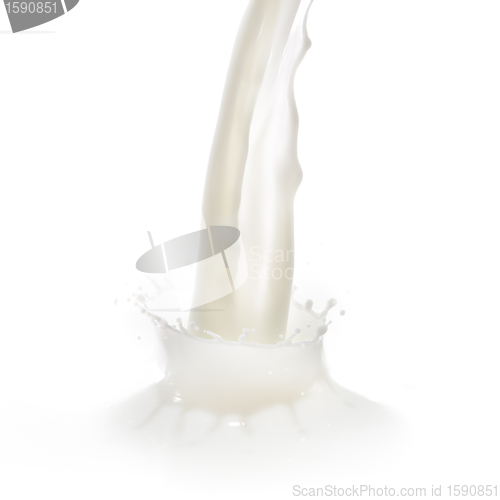 Image of milk splash