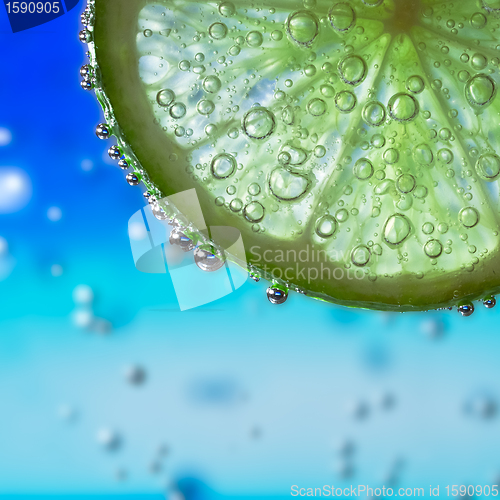 Image of lime in the water