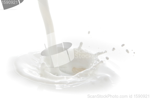 Image of milk splash