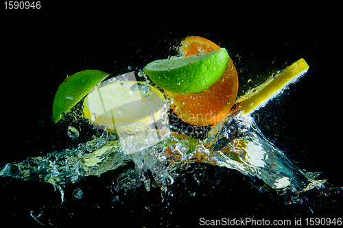 Image of fruit splash