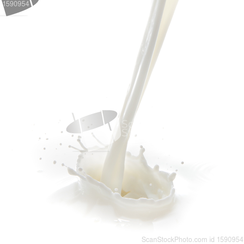Image of milk splash