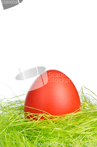 Image of easter egg in nest