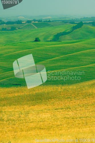 Image of Typical Tuscan landscape