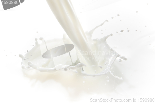 Image of milk splash