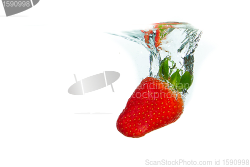 Image of strawberry in the water