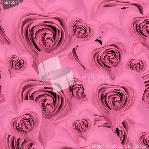 Image of heart shaped rose background