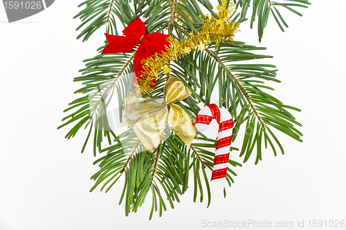 Image of Christmas branch 