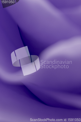 Image of violet rose macro