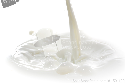 Image of milk splash