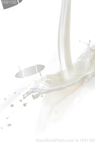 Image of milk splash