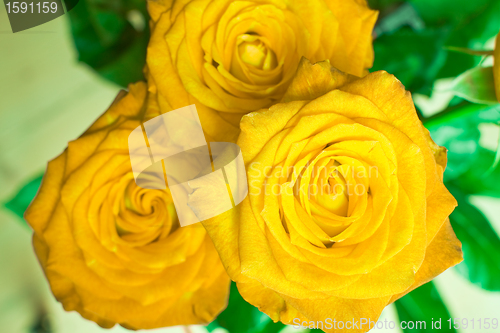 Image of rose bouquet