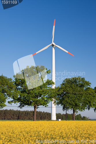 Image of windmill  farm in the rape field
