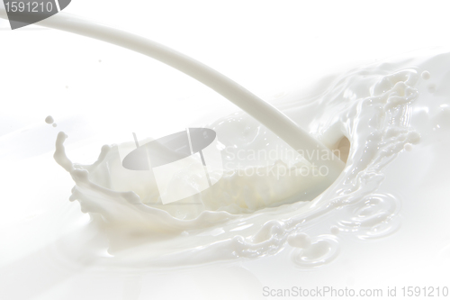Image of milk splash