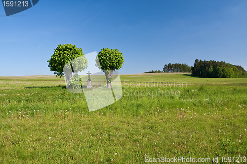 Image of cross in the field