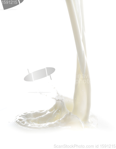 Image of milk splash