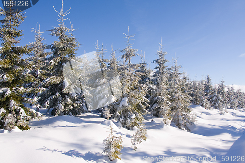 Image of fresh snow in the mountains