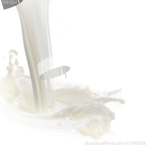 Image of milk splash